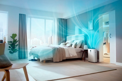 Schlafzimmer mit Luftreiniger, Bett, Fenster, Vorhänge, Pflanzen, Teppich, Lampe, Stuhl, Kleiderschrank